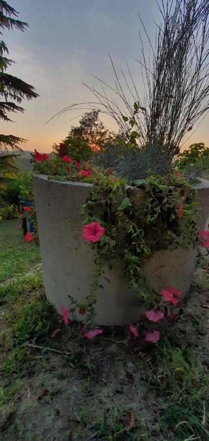 Le Rose Di Mapi Villa Mango Exteriör bild