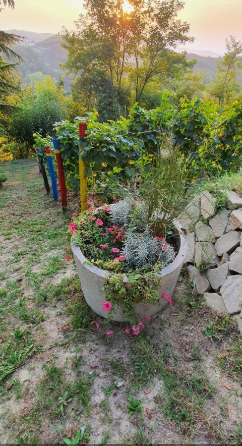 Le Rose Di Mapi Villa Mango Exteriör bild