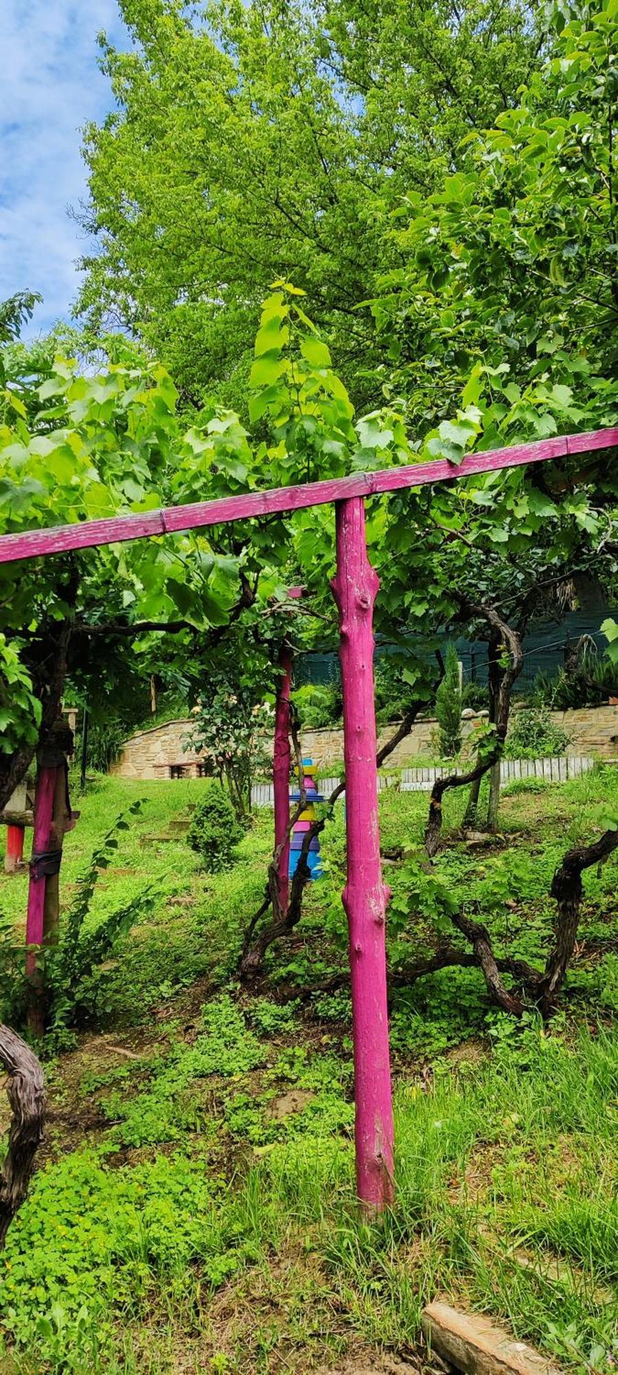 Le Rose Di Mapi Villa Mango Exteriör bild