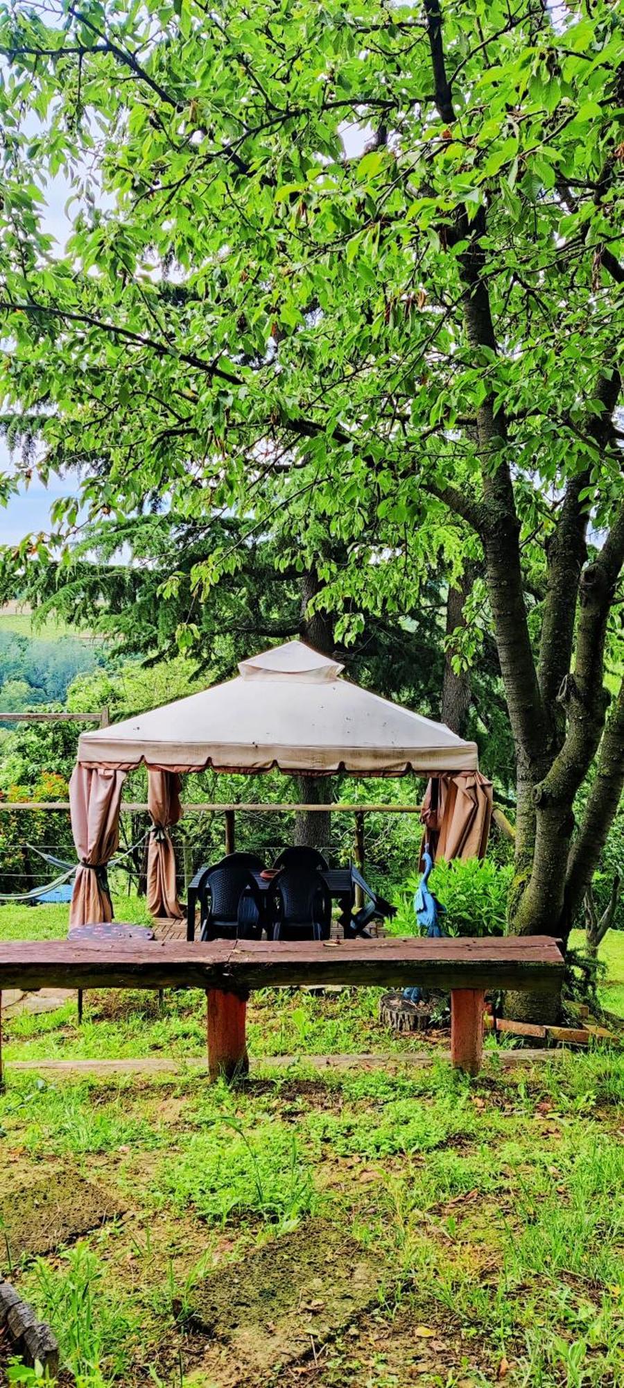 Le Rose Di Mapi Villa Mango Exteriör bild