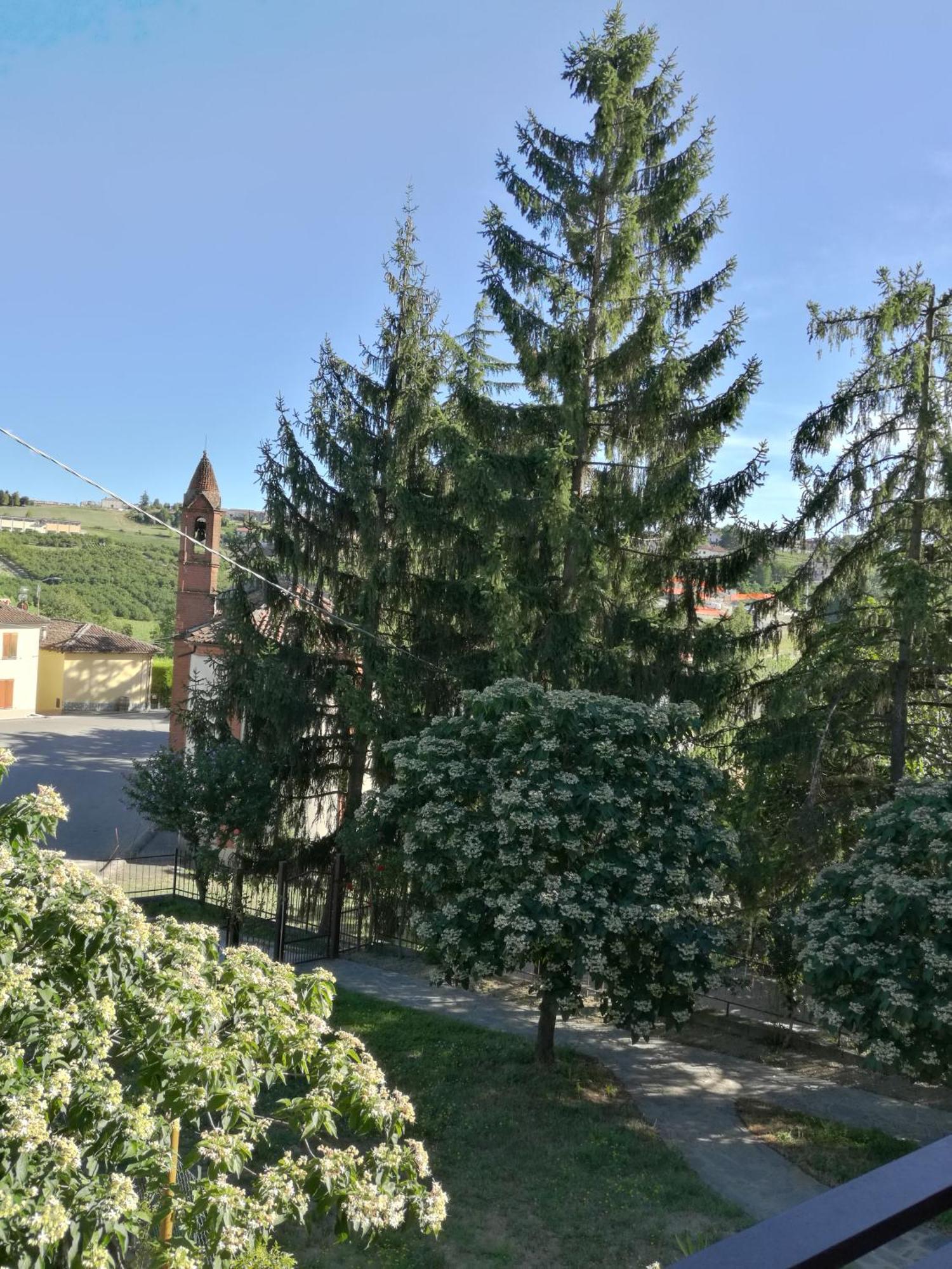 Le Rose Di Mapi Villa Mango Exteriör bild