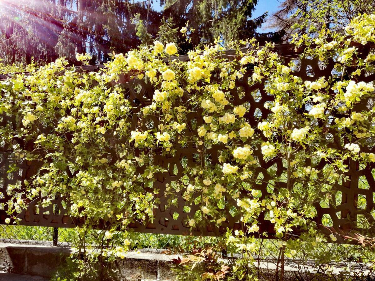 Le Rose Di Mapi Villa Mango Exteriör bild