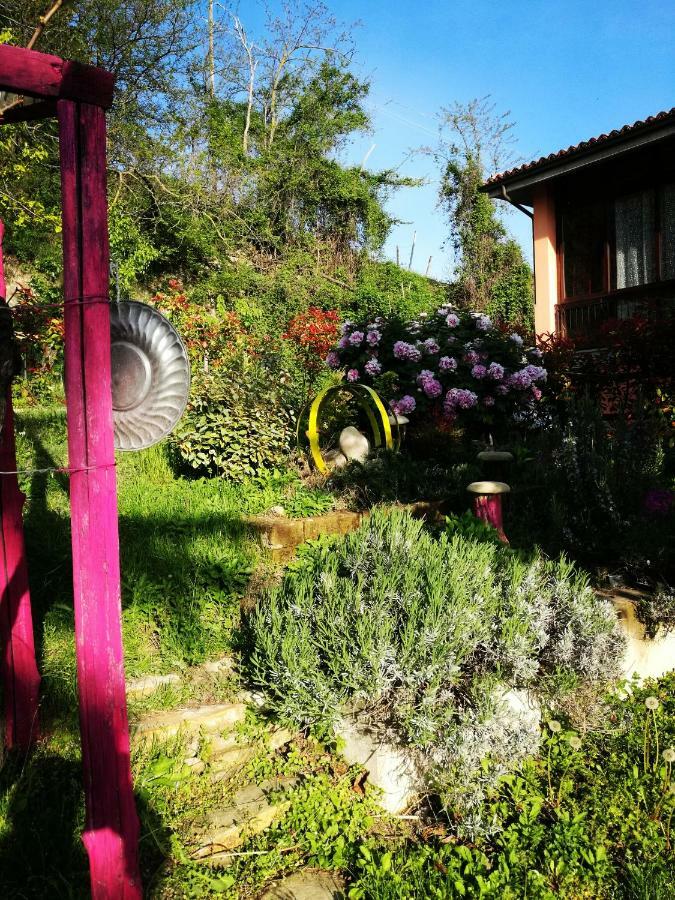 Le Rose Di Mapi Villa Mango Exteriör bild